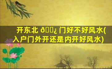 开东北 🌿 门好不好风水(入户门外开还是内开好风水)